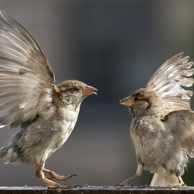 ��������...